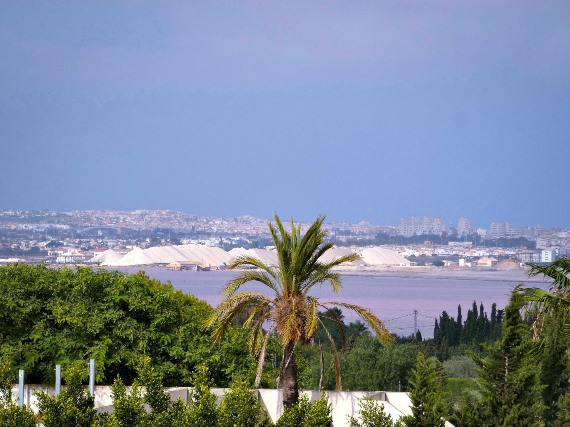 Lagovista45 Torrevieja Eksteriør bilde