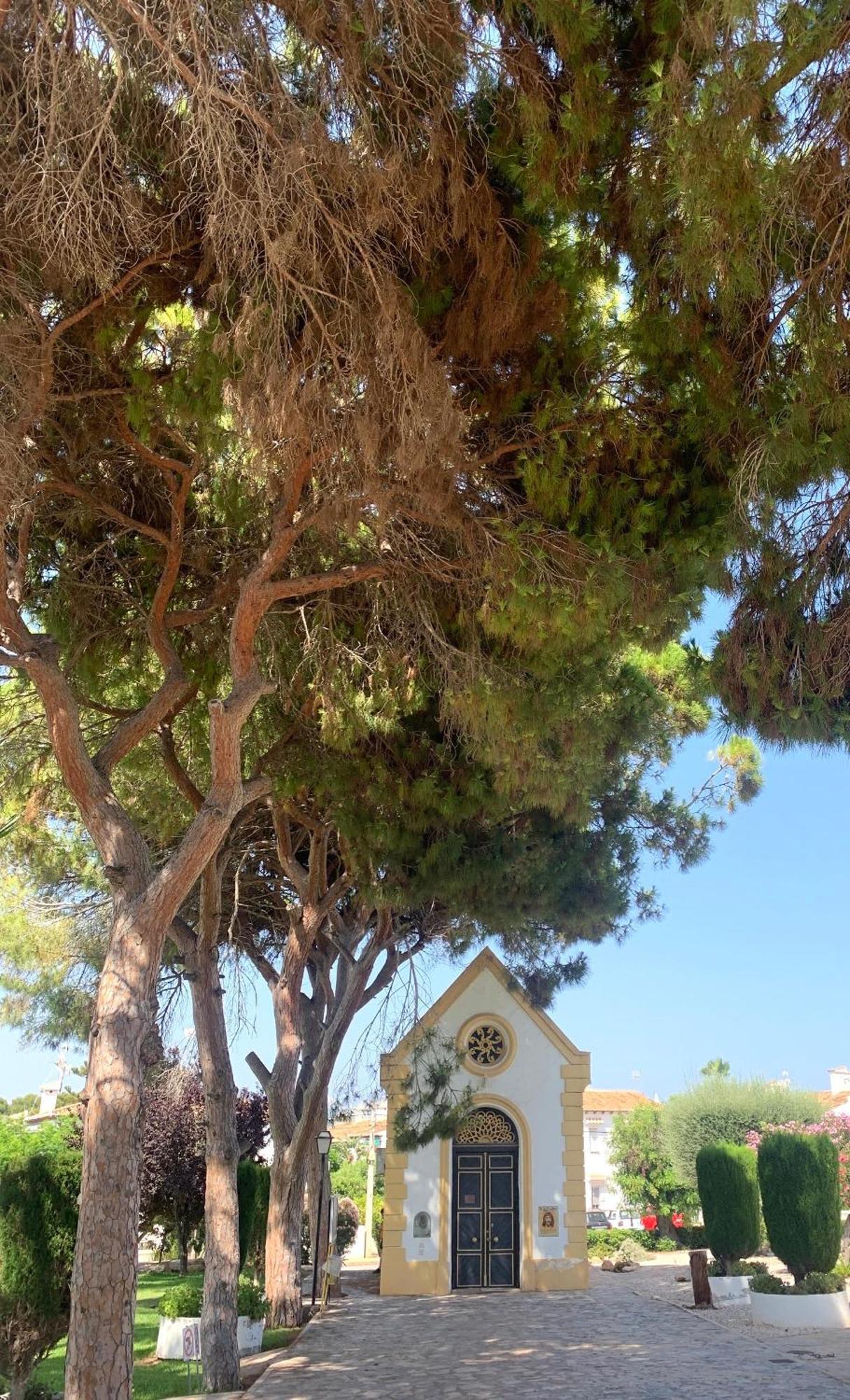 Lagovista45 Torrevieja Eksteriør bilde
