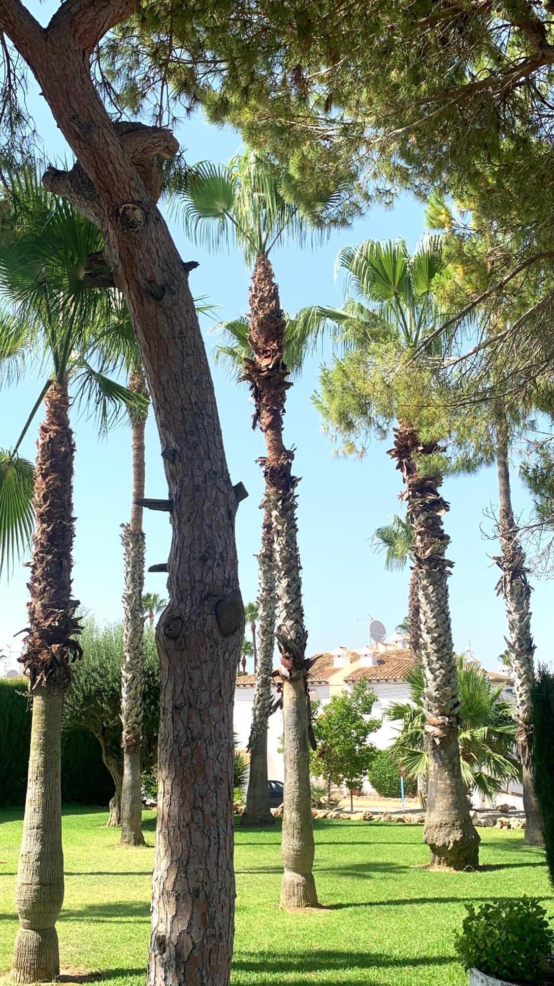 Lagovista45 Torrevieja Eksteriør bilde
